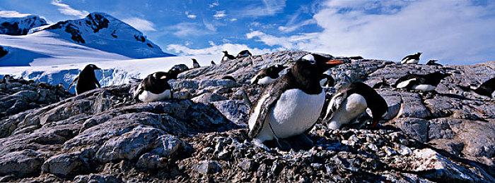 《使命召唤：黑色行动冷战》新模式预告片 玩法神似狼人杀